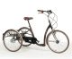 Tricycle adulte Vintage